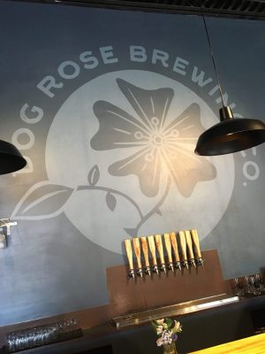 Beer tasting at Dog's Rose Brewing