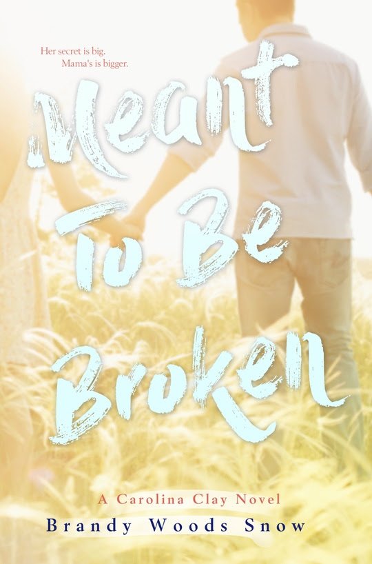 Meant To Be Broken By Brandy Woods Snow book cover