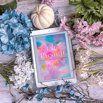A Spark of Light Summary Bookstagram with book cover, white pumpkin, and pink and blue flowers