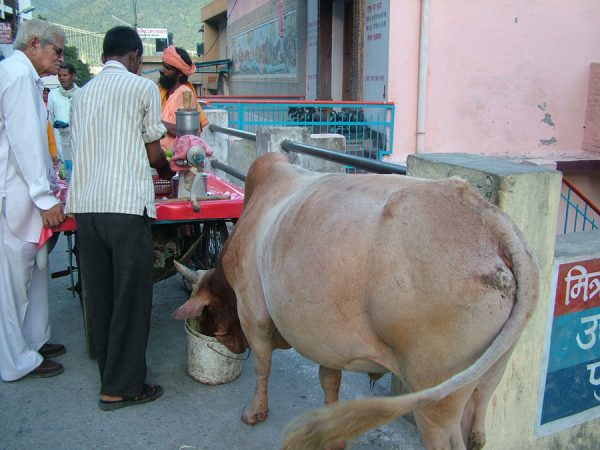 Are you looking for places to go on your birthday? Check out these wanderlust inspired Birthday vacation destinations from top travel bloggers. This blogger enjoyed India for her birthday. #birthday #India #AsiaTravel #traveltips #travelbloggers