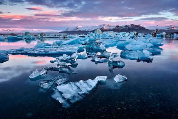 Jokulsarlon Glacier Lagoon in Iceland with pink and blue clouds and bright blue glaciers floating on the water