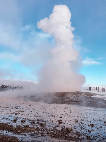 Geysir in Iceland with steam and water shooting from the ground