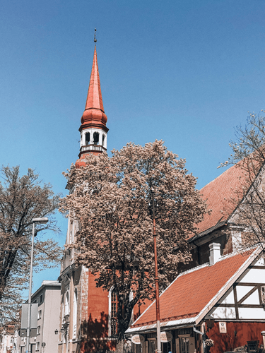 Things To Do In Pärnu Estonia Saint Elizabeth's Church