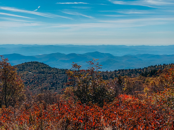 Fall in Asheville NC Black Balsam on BRP