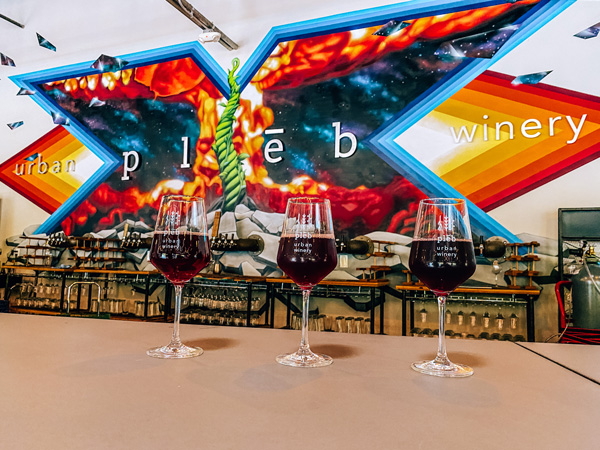 pleb urban winery with three red wine glasses and their logo across the wall