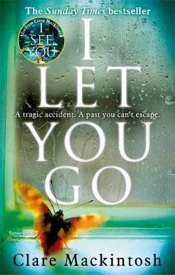 Life-Changing Beach Reads, I Let You Go by Clare Mackintosh book cover with insect looking in a window covered with rain