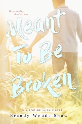 YA Southern Books, Meant to be broken by Brand woods snow book cover