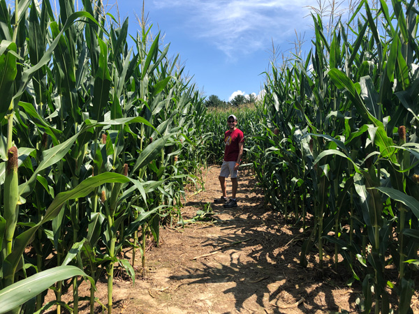 Tom in Grandad's Apples corn maze