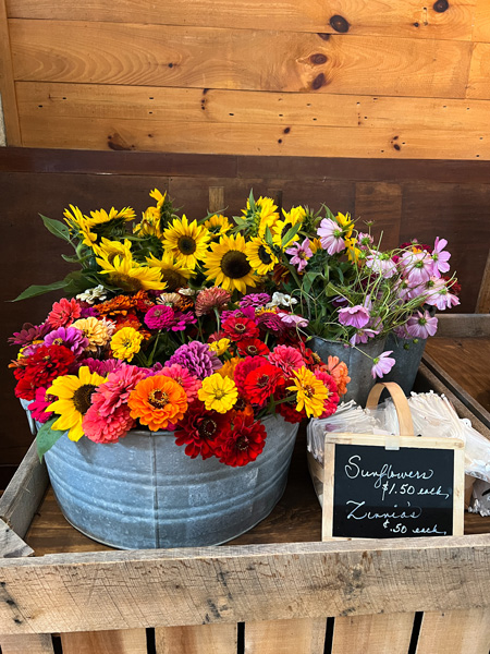 Flowers at Jeter Mountain Farm Country Store
