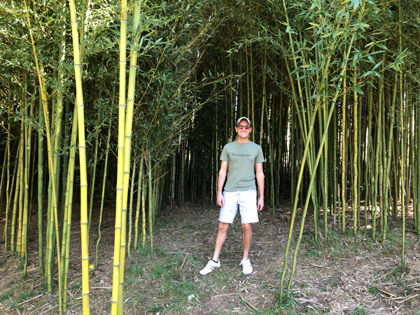 Tom in Sky Top's bamboo forest