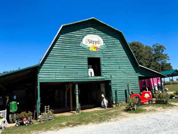 Stepp's Hillcrest Orchard farm store