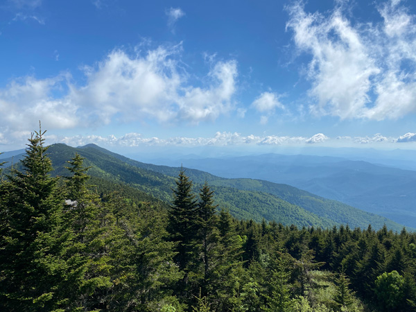 Mount Mitchell view