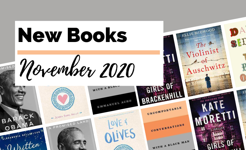 17 Hot New November 2020 Book Releases