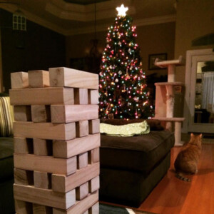 Giant Building Blocks