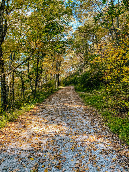 Bearwallow Mountain gravel trail in fall