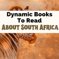 Books About South Africa Reading List with zebra in the tall grass
