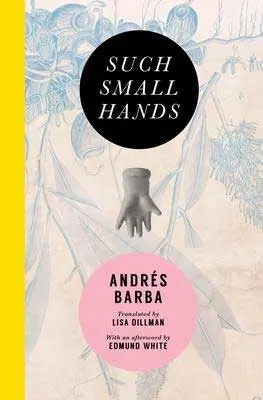 Such Small Hands by Andrés Barba book cover with small hand in the middle