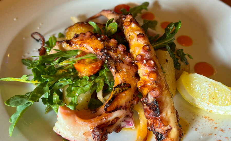 Stoney Knob Cafe grilled octopus