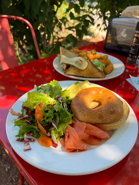All Day Darling lox