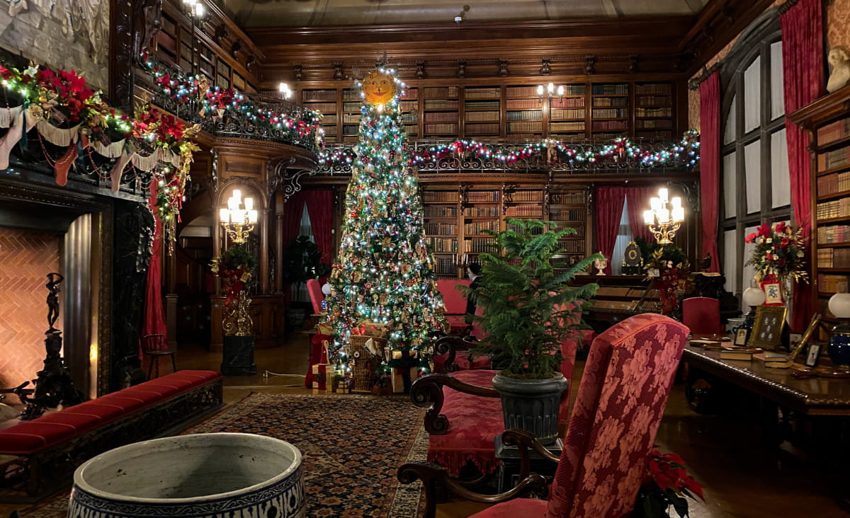 Biltmore Estate library at Christmas
