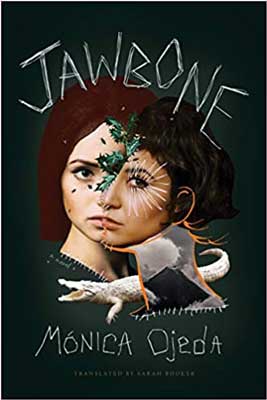 Jawbone by Mónica Ojeda book cover with one head with two different half faces