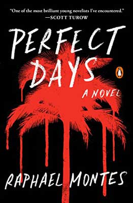 Perfect Days by Raphael Montes book cover with red palm trees on black background