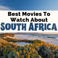 Movies About South Africa And South African Films with mountain trail and water in Cape Town