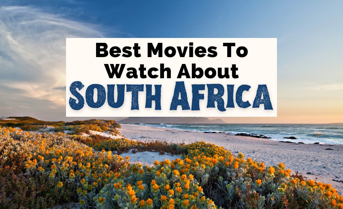 16 Best Movies About South Africa To Watch (2024)