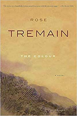 The Colour by Rose Tremain book cover with tan and hazy gray coloring of landscape