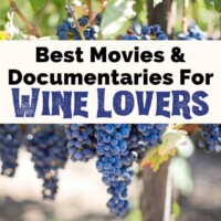 Wine Movies and Wine Documentaries with purple wine grapes hanging from vine