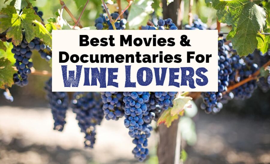 Wine Movies and Wine Documentaries with purple wine grapes hanging from vine
