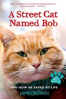A Street Cat Named Bob by James Bowen book cover with orange cat with green eyes