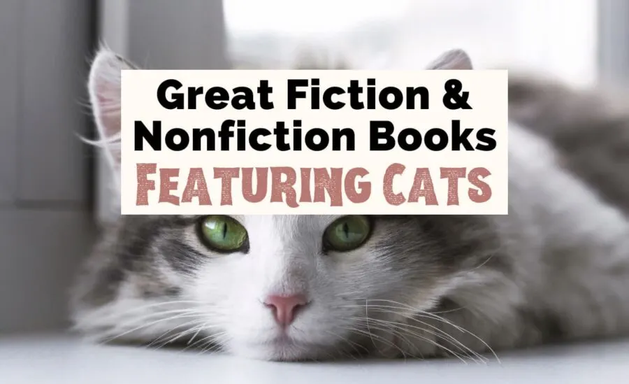 Books About Cats with photo of white and gray fluffy cat with green eyes and pink nose laying down on floor