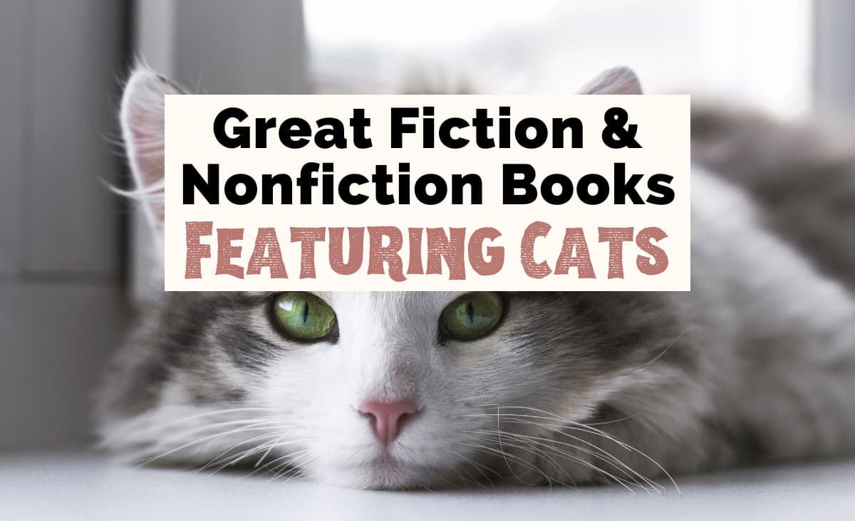 15 Fantastic Books About Cats For Adults Sure To Make You Purr