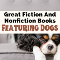 Books About Dogs with photo of black, white and brown dog on gray chair