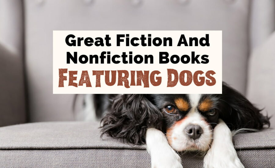 Books About Dogs with photo of black, white and brown dog on gray chair