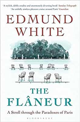 The Flaneur by Edmund White book cover with two rows of sketched chairs on lawn