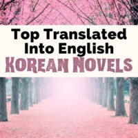 Best Korean Novels English Translation with image of pink trees at Nami Island in South Korea