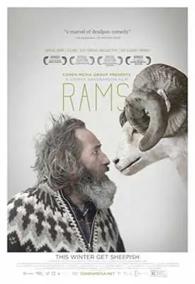 Rams film poster with white bearded male touching noses with a white ram with gray horns