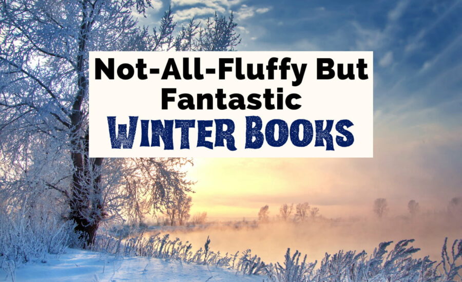Winter Books with image of pond or lake with snowy fog, tree covered in snow, and cityscape in background