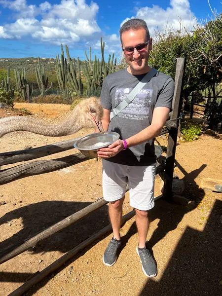 Aruba Ostrich Farm with white brunette male in shorts, sunglasses, and t-shirt feeding ostrich out of tin bowl