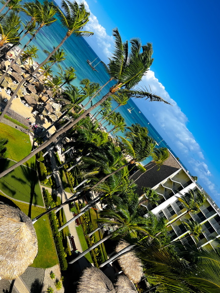 Holiday Inn Resort in Aruba view from balcony with palm trees and view of palm beach along with courtyard