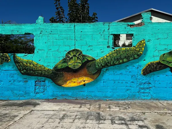 Turtle Mural in San Nicolas Aruba with image of large green and yellow turtle on ombre blue green background