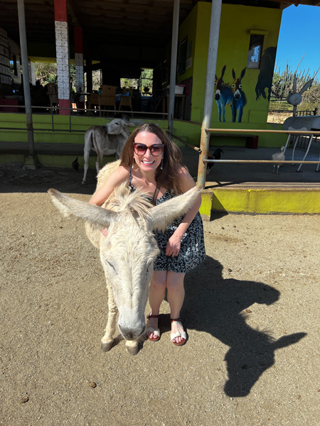 Aruba Donkey Sanctuary with white donkey with Christine, a white brunette female in sundress with sunglasses petting and hugging donkey