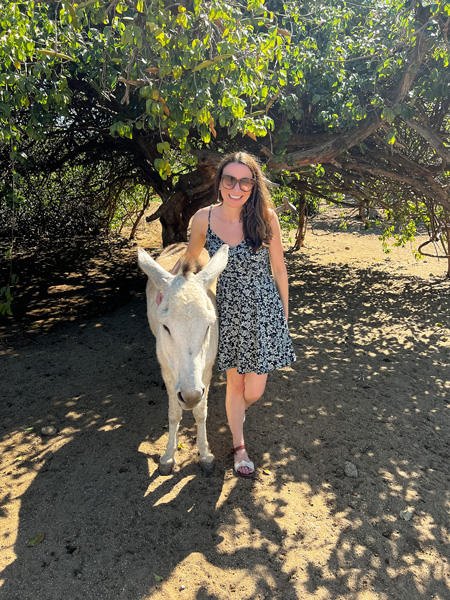Donkey Sanctuary Aruba white Wild Donkey with Christine, a brunette white female in a sundress with sunglasses