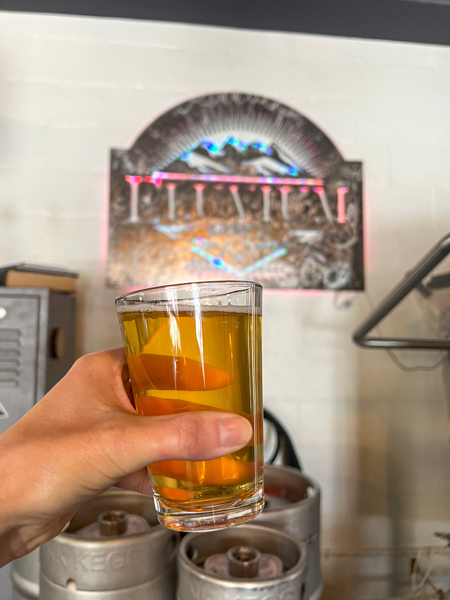 Eluvium Brewing Company beer