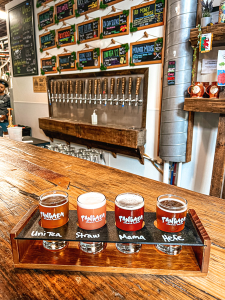 Pangaea Brewing Company flight