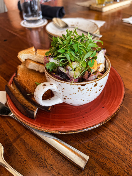 Edison Octopus Ceviche