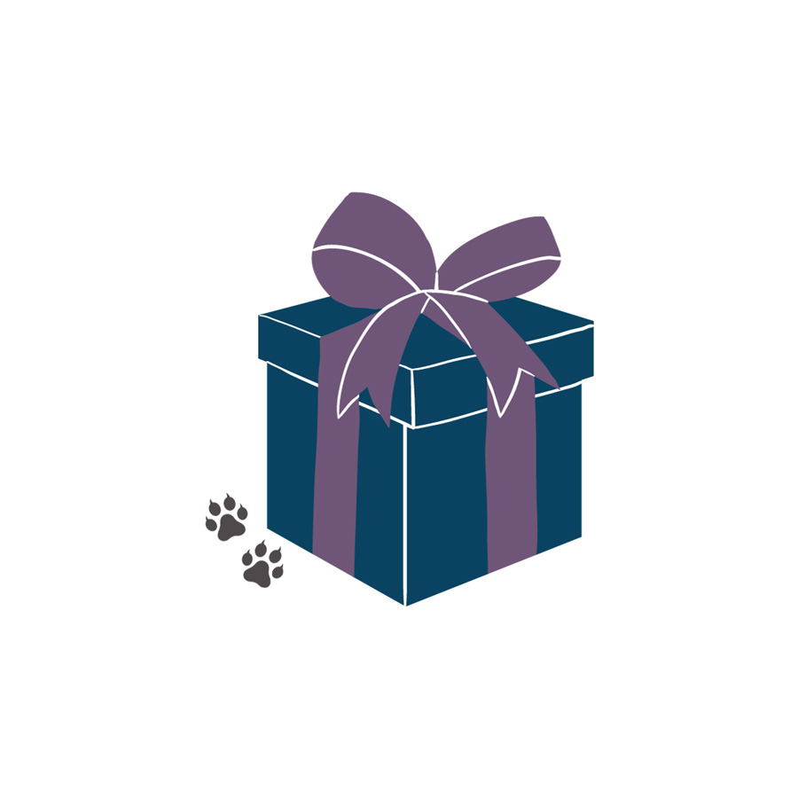 graphic of present with blue wrapping and purple ribbon