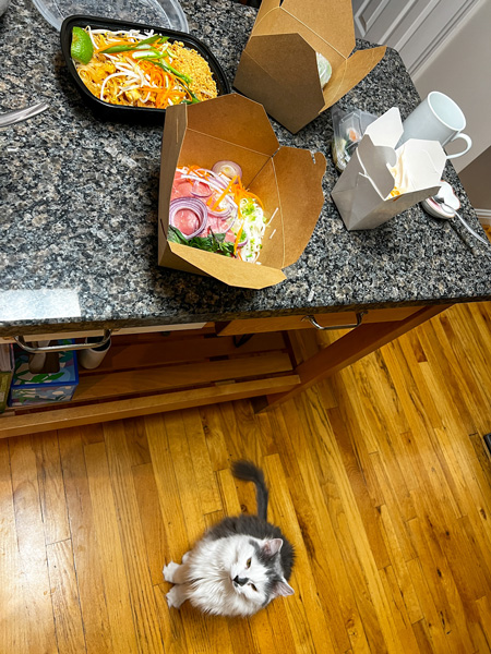 Suwana's Asian Cuisine takeout